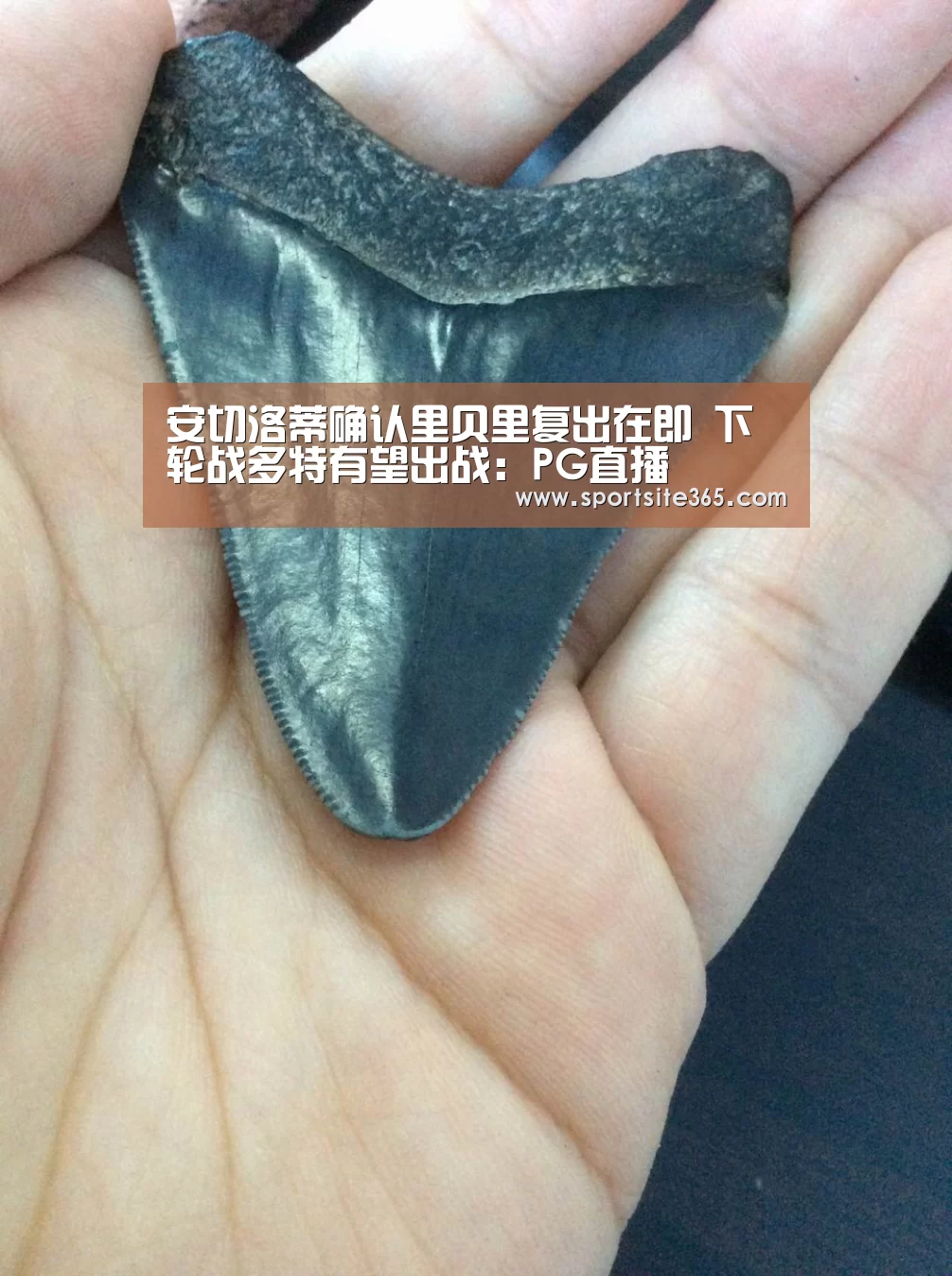 安切洛蒂确认里贝里复出在即 下轮战多特有望出战:PG直播(图1) PG体育